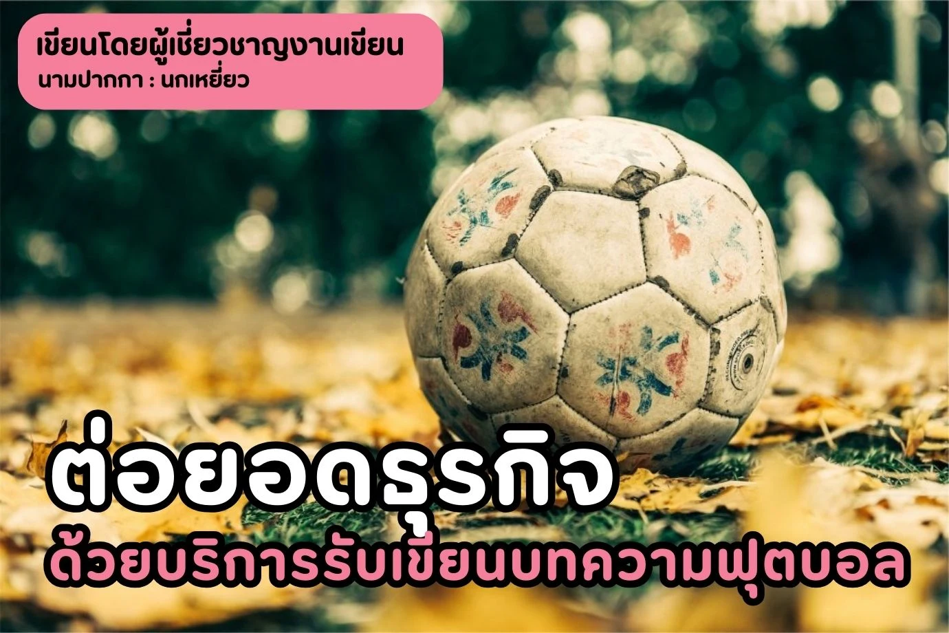 ต่อยอดธุรกิจด้วยบริการรับเขียนบทความฟุตบอล ที่มีทีมงานด้านการเขียนอย่างมืออาชีพ