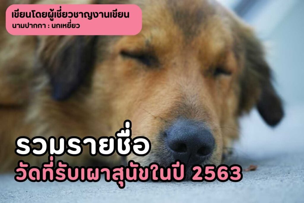 รวมรายชื่อวัดที่รับเผาสุนัขในปี2563