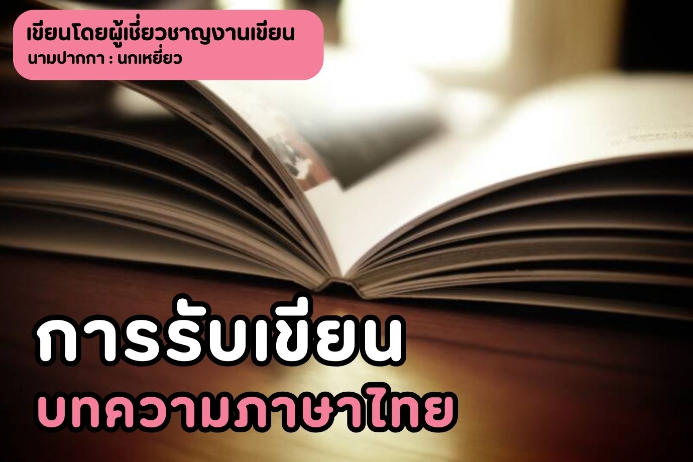 การรับเขียนบทความภาษาไทย