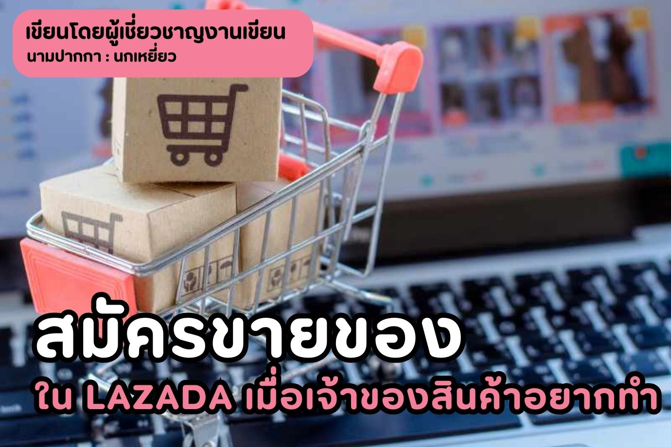 สมัครขายของใน Lazada เมื่อเจ้าของสินค้าอยากทำ