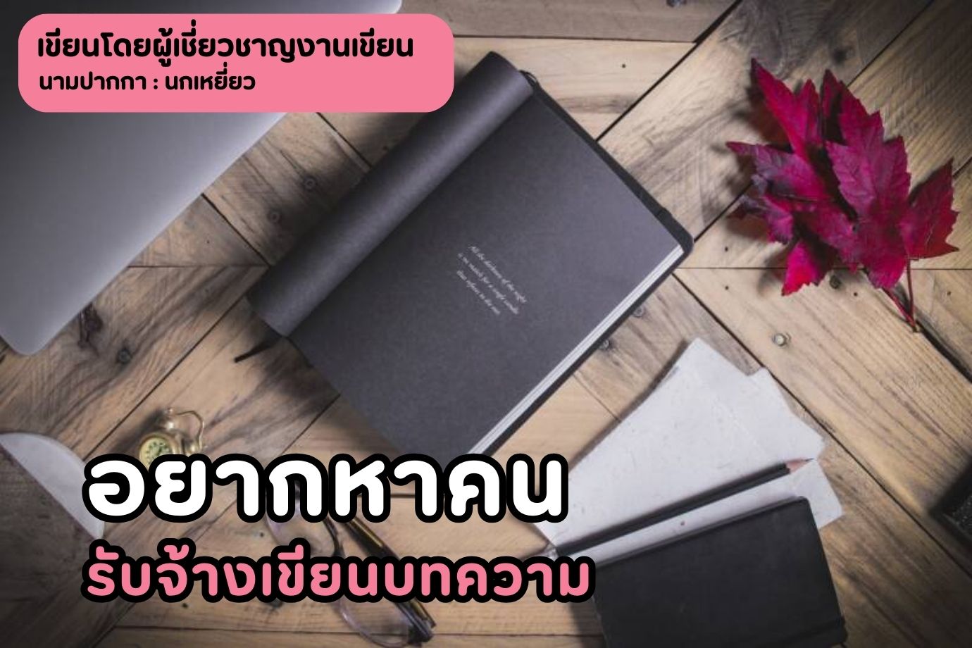 อยากหาคนรับจ้างเขียนบทความ