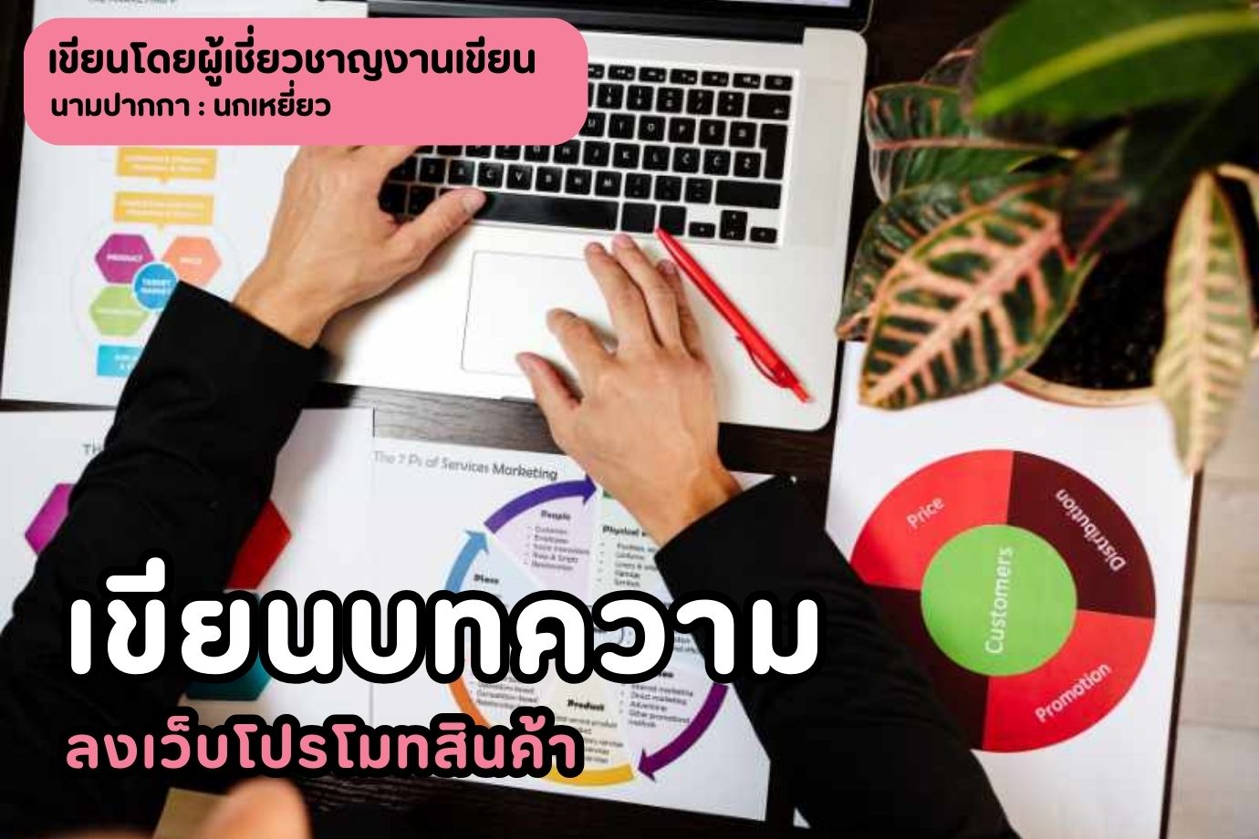 เขียนบทความลงเว็บโปรโมทสินค้า