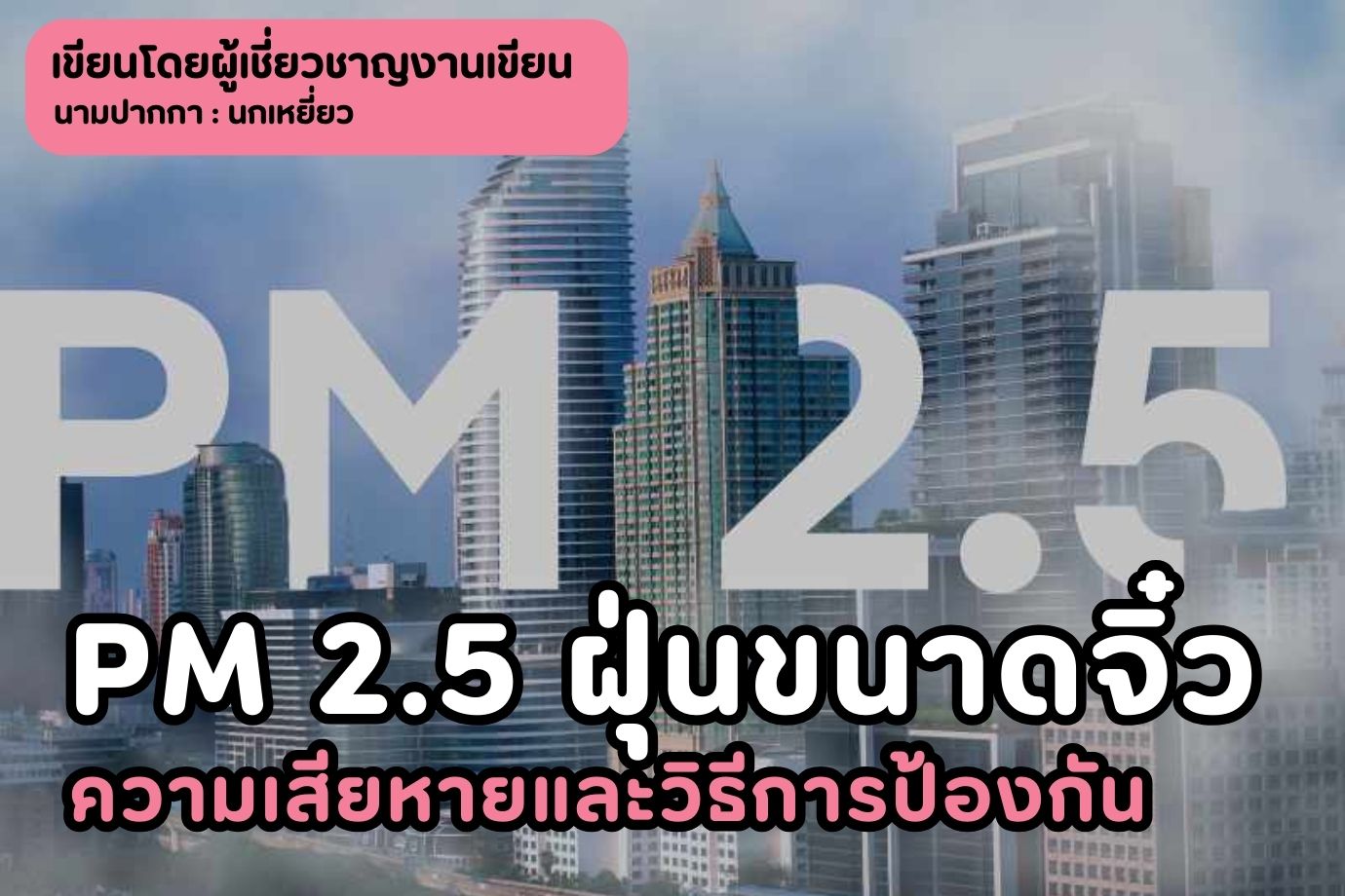 PM 2.5 ฝุ่นขนาดจิ๋ว ความเสียหายและวิธีการป้องกัน