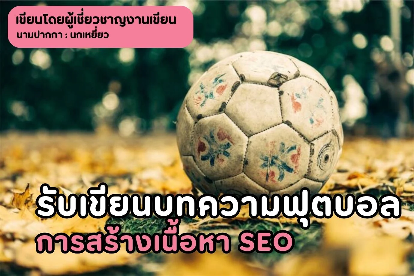 รับเขียนบทความฟุตบอล