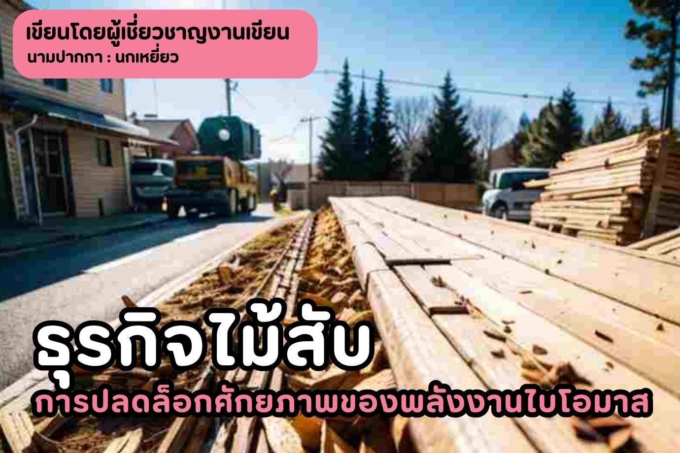 ธุรกิจไม้สับการปลดล็อกศักยภาพของพลังงานไบโอมาส