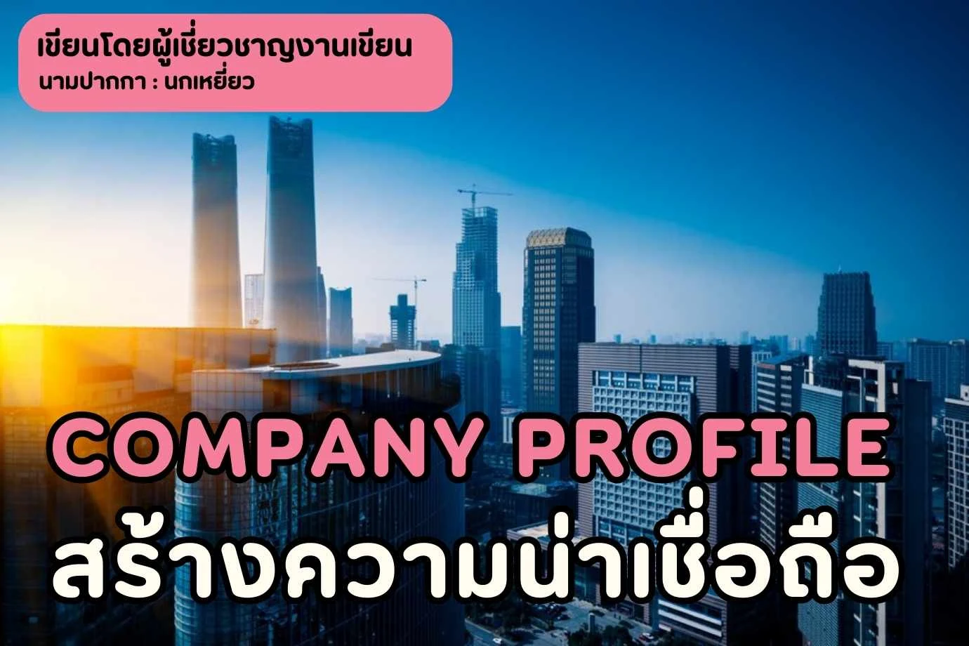 Company Profile : เครื่องมือการตลาดสร้างภาพลักษณ์และสร้างความน่าเชื่อถือ
