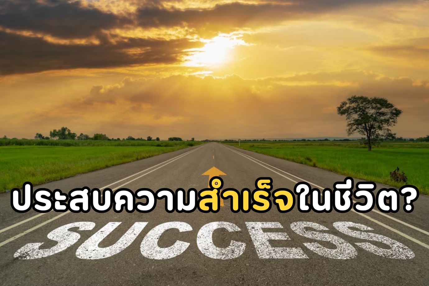 ประสบความสำเร็จในชีวิต