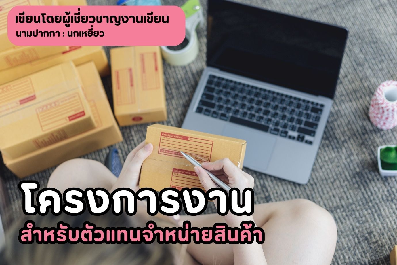 โครงการงานสำหรับตัวแทนจำหน่ายสินค้า