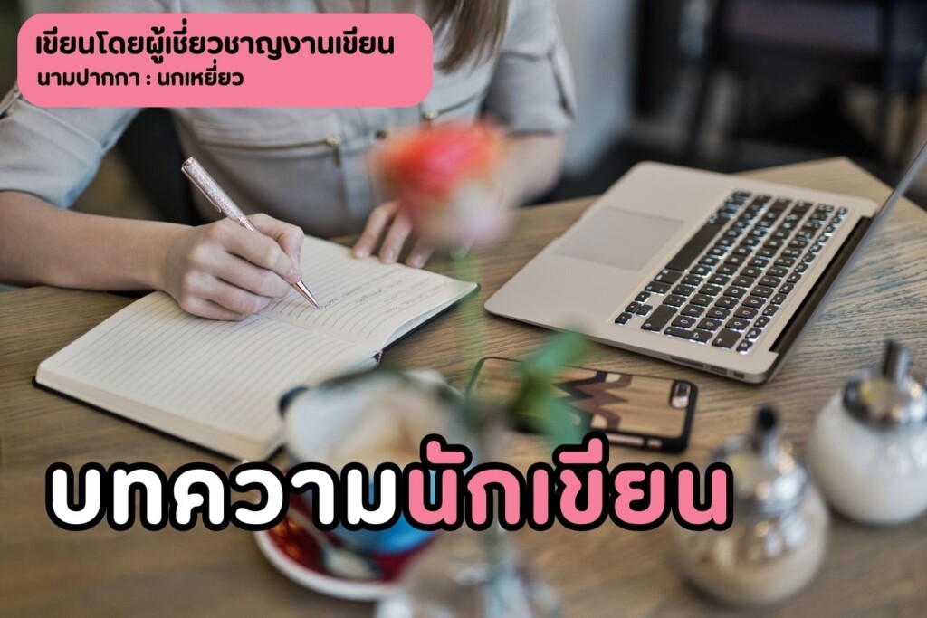 บทความนักเขียน