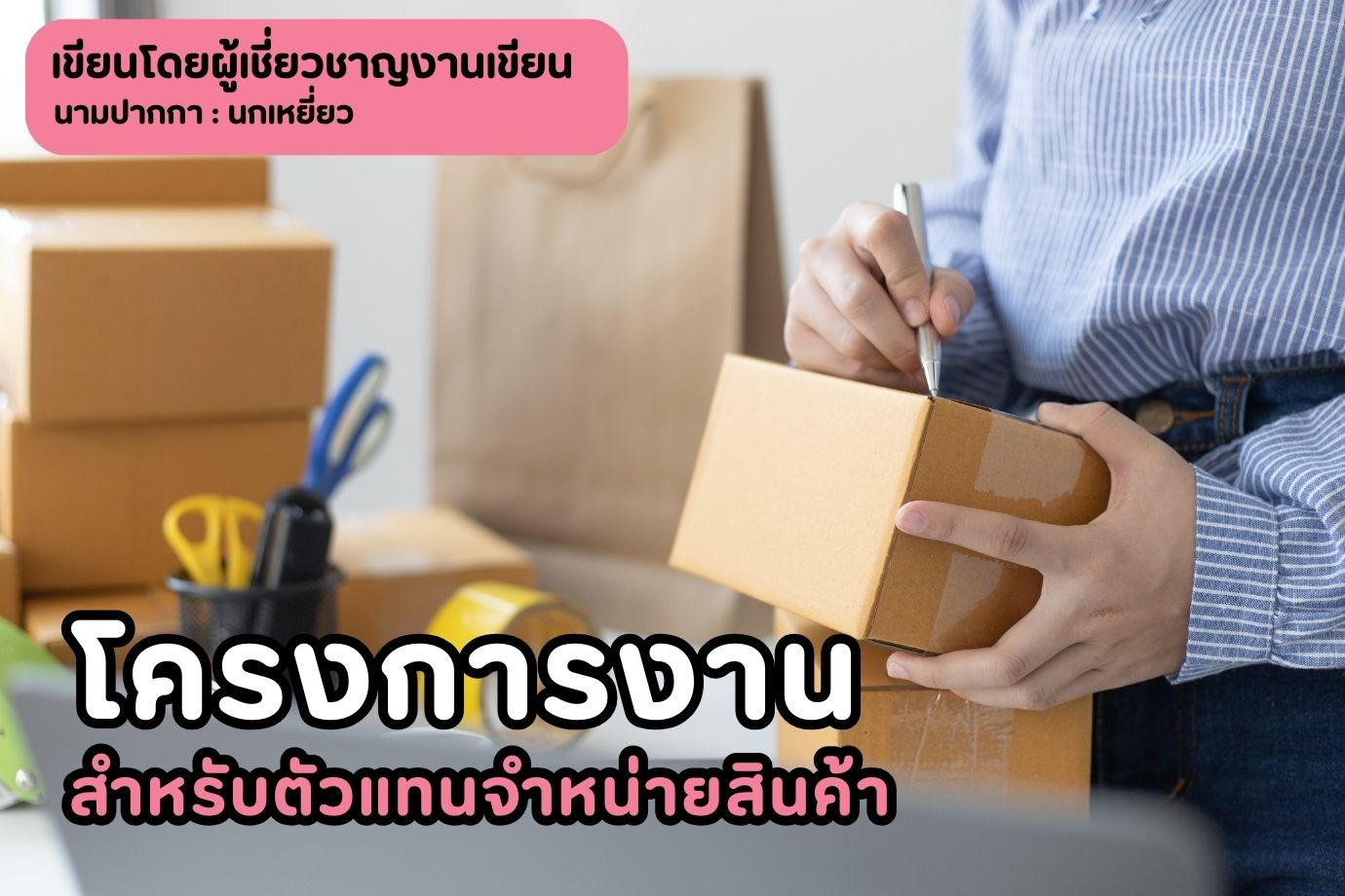 โครงการงานสำหรับตัวแทนจำหน่ายสินค้า