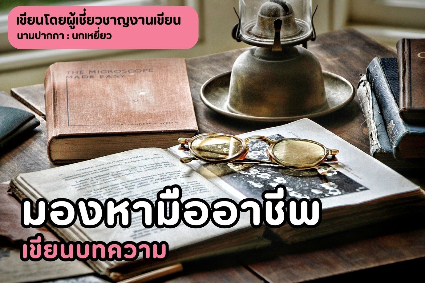 มองหามืออาชีพเขียนบทความ