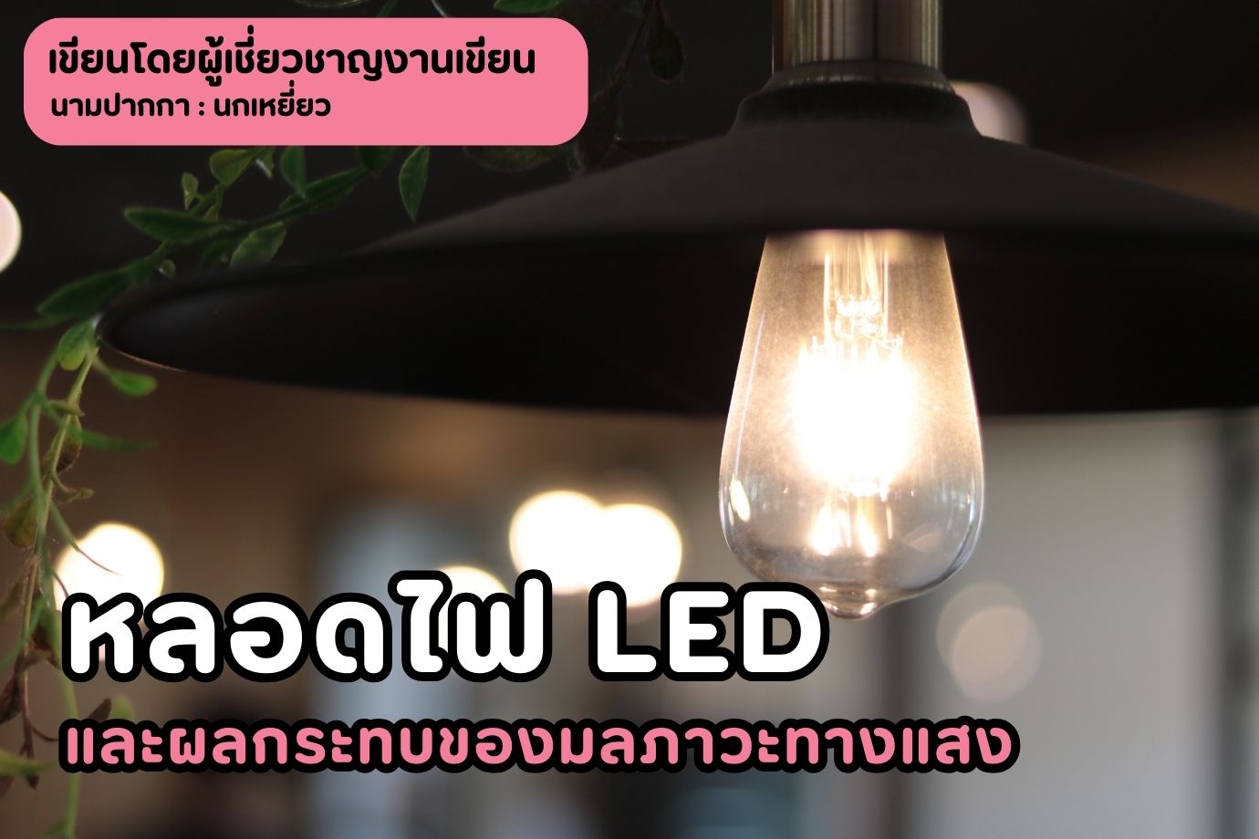 หลอดไฟ LED และผลกระทบของมลภาวะทางแสง