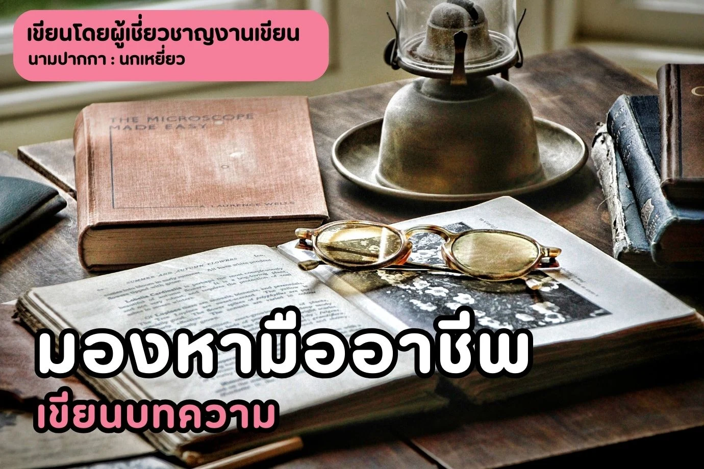 มองหามืออาชีพเขียนบทความ-ให้เว็บของเราช่วย