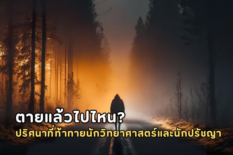 where do you go when you die