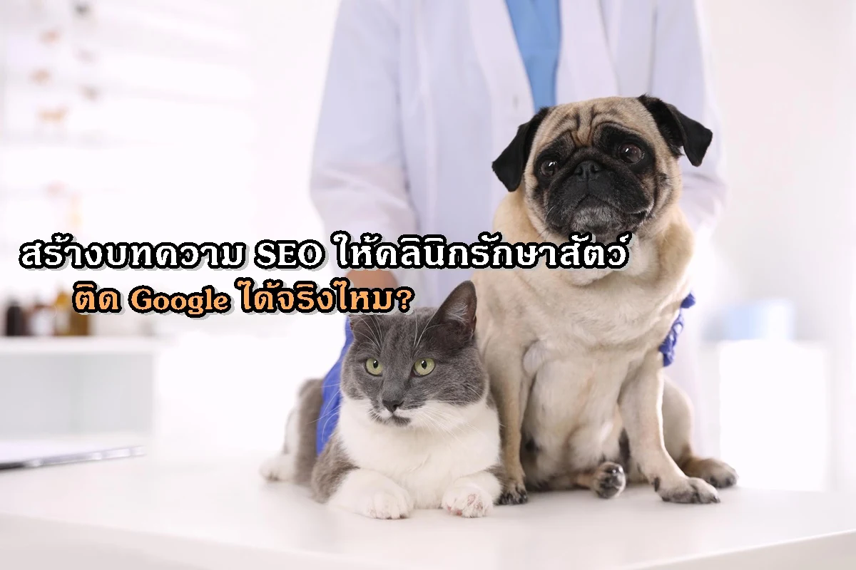 สร้างบทความ SEO ให้คลินิกรักษาสัตว์ติด Google ได้จริงไหม?