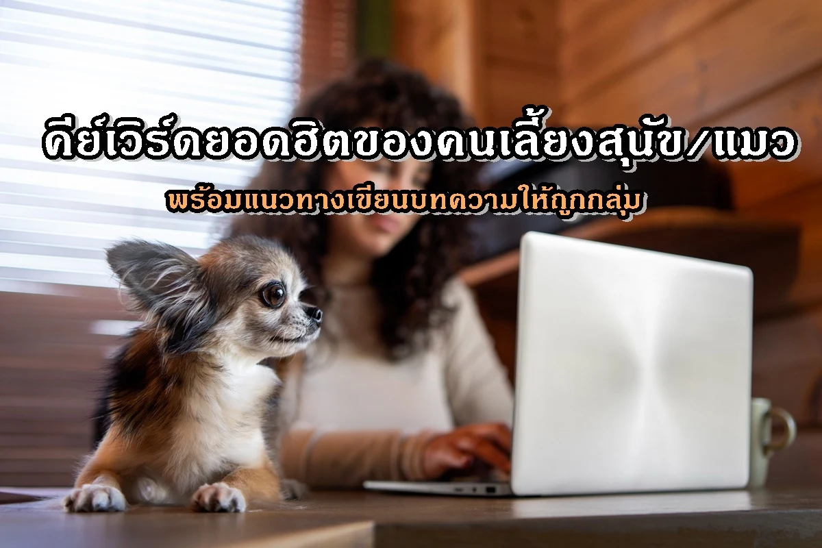 คีย์เวิร์ดยอดฮิตของคนเลี้ยงสุนัข/แมว พร้อมแนวทางเขียนบทความให้ถูกกลุ่ม