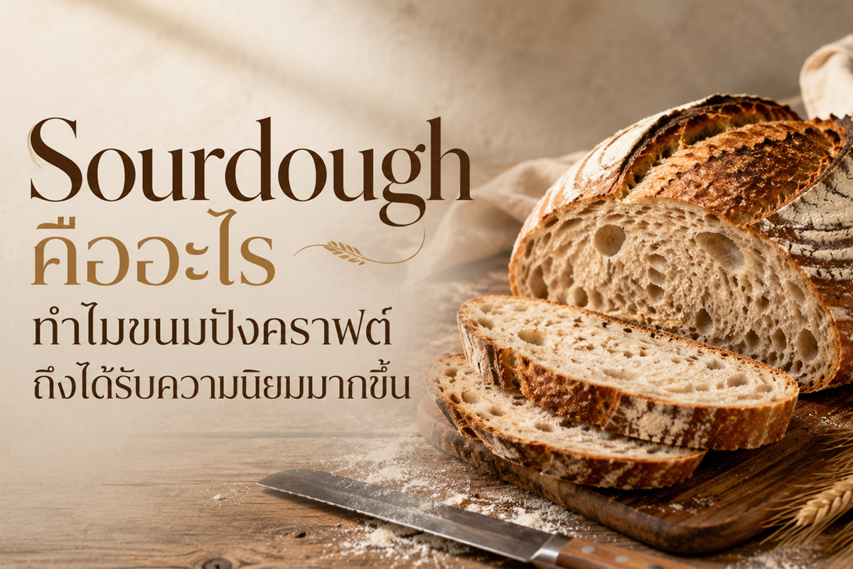 Sourdough คืออะไร ทำไมขนมปังคราฟต์ถึงได้รับความนิยมมากขึ้น